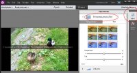 adobe_premiere_elements_08.jpg
